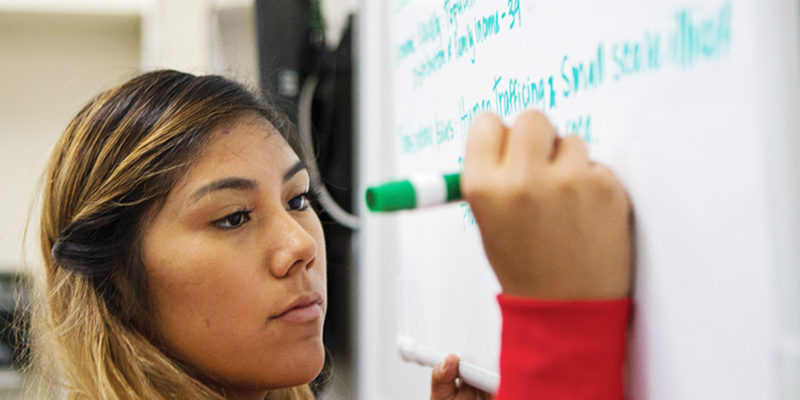 Former intern Rayes Crespin writes answers on a board in class at the University of New Mexico,