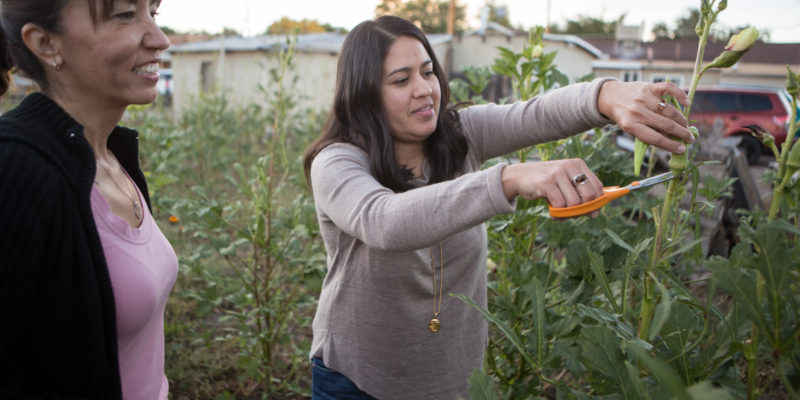 Cousins Angie Rodriguez and Maria Gamboa harvest vegetables from Maria's backyard garden.