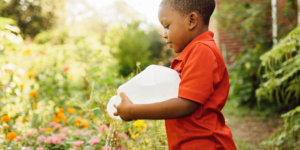 A young Black boy watering flowers outside in the school garden in New Orleans.