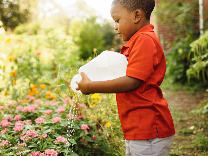 A young Black boy watering flowers outside in the school garden in New Orleans.