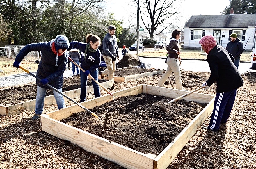 Working in a raised bed