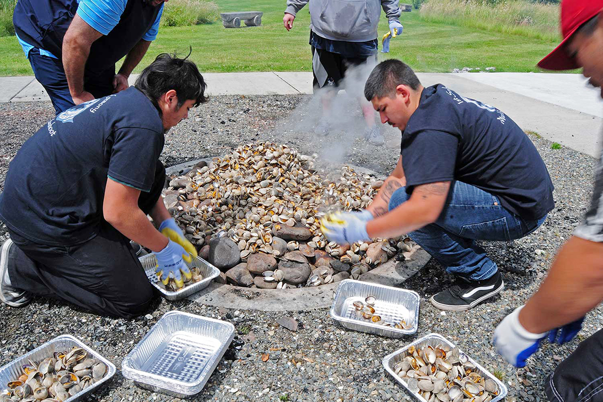 Muckleshoot community members prepare mussels over a traditional stone pit, which will then be shared during a community feast. Photo: Valerie Segrest.