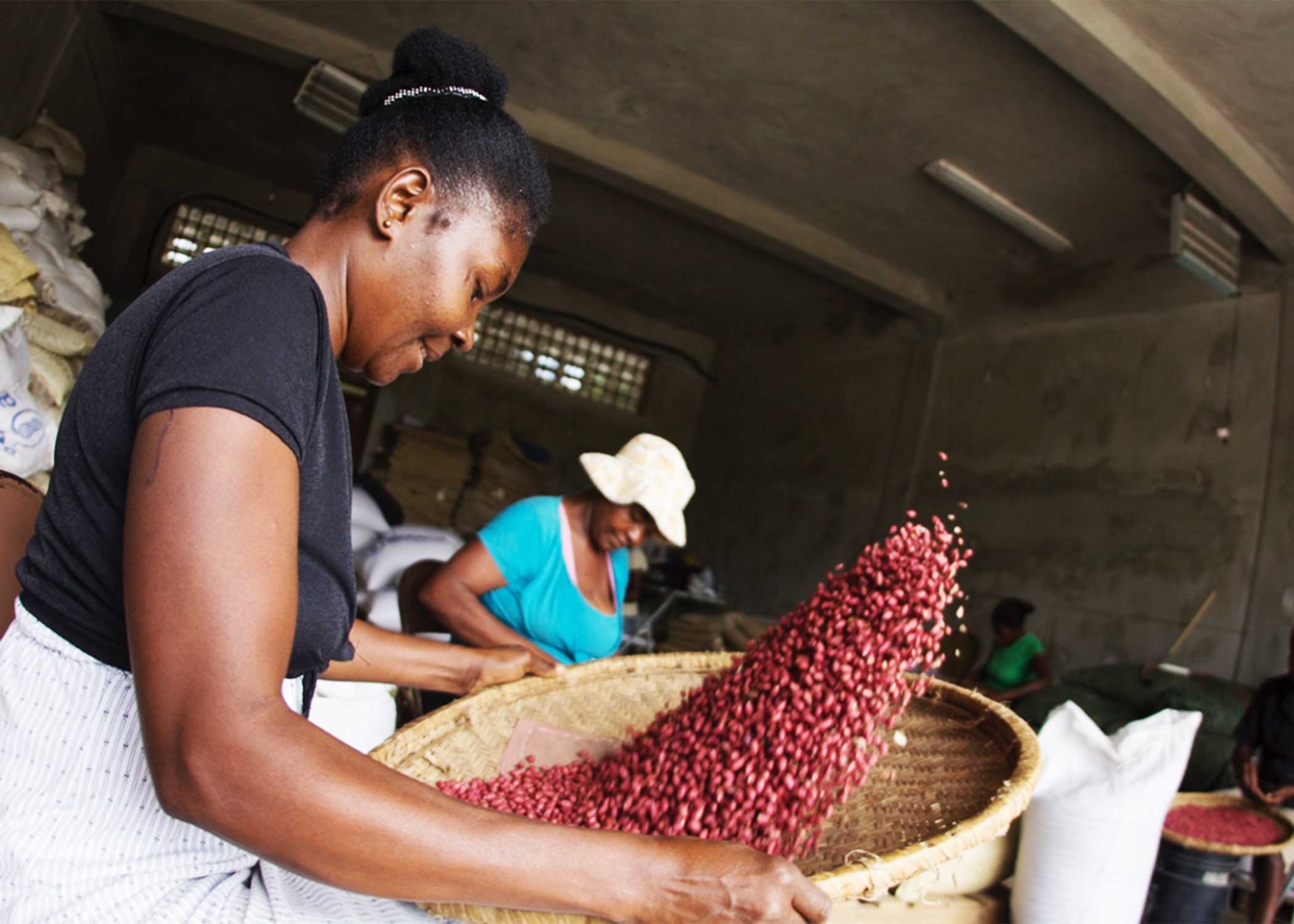 A Haitian women sifting peanuts.