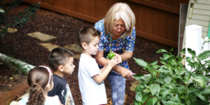 farm to early care and education