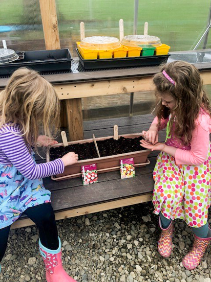 Two young girls plant radish seeds in Iowa City, IA. Photo courtesy of Iowa AEYC.