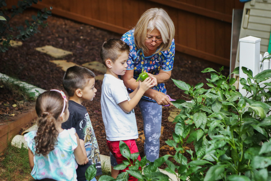An early care and education provider and a group of little gardeners pick fresh green bell peppers from the garden. Photo courtesy of Quality Care for Children.