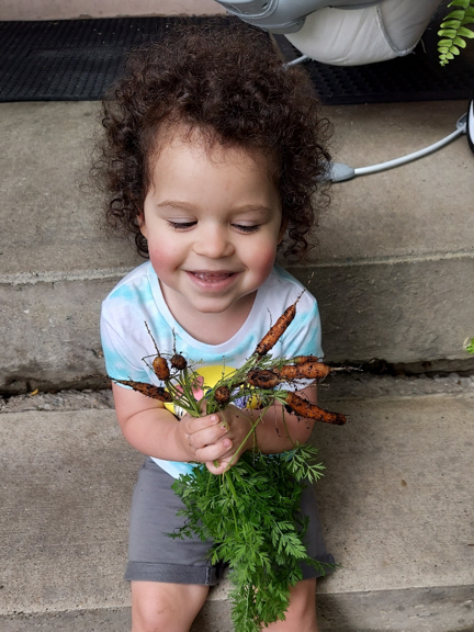 A happy child holding a bundle of freshly picked carrots in Iowa City, IA. Photo courtesy of Iowa AEYC.