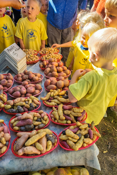 Kids surround a table of various types of potatoes as they learn more about the vegetable at the local farmers' market. Photo courtesy of Parenting Place in La Crosse, WI.
