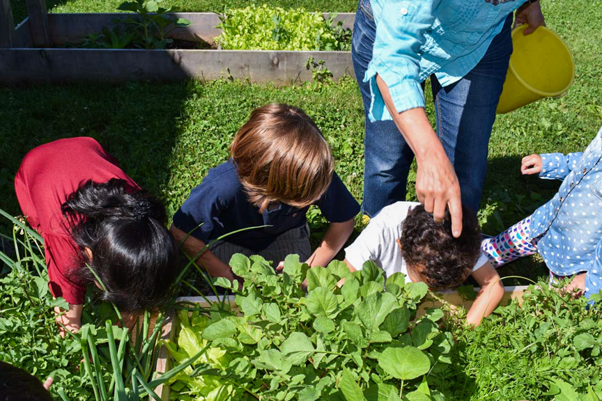 Young gardeners examining their garden beds in Londonderry, PA. Photo courtesy of Pennsylvania Farm to Early Care and Education Champion grantee.