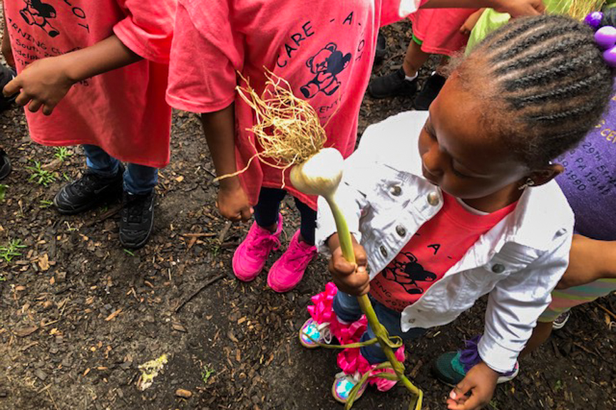 A young child holds up garlic at Mill Creek Farm in Philadelphia, PA. Photo courtesy of The Food Trust.