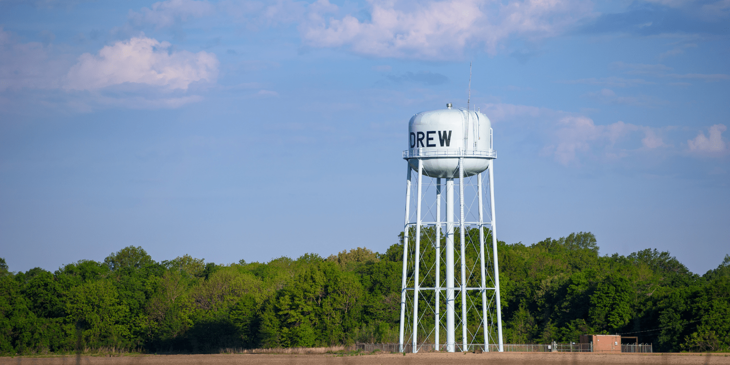 How farming in the Mississippi Delta can save America's food supply chain -  WTOP News