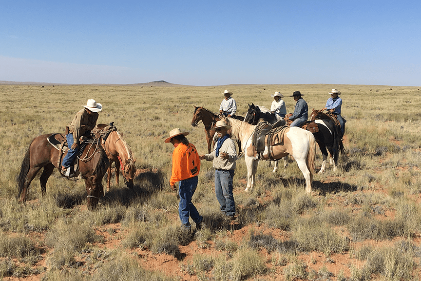 IAC Western Region in the field lessons. Photo courtesy of IAC.