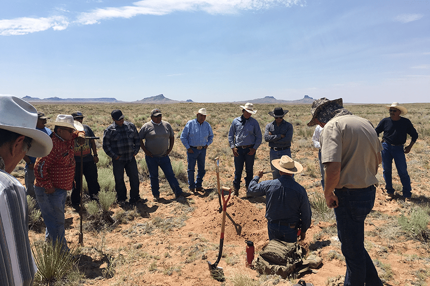 IAC Western Region soil health demo. Photo courtesy of IAC.