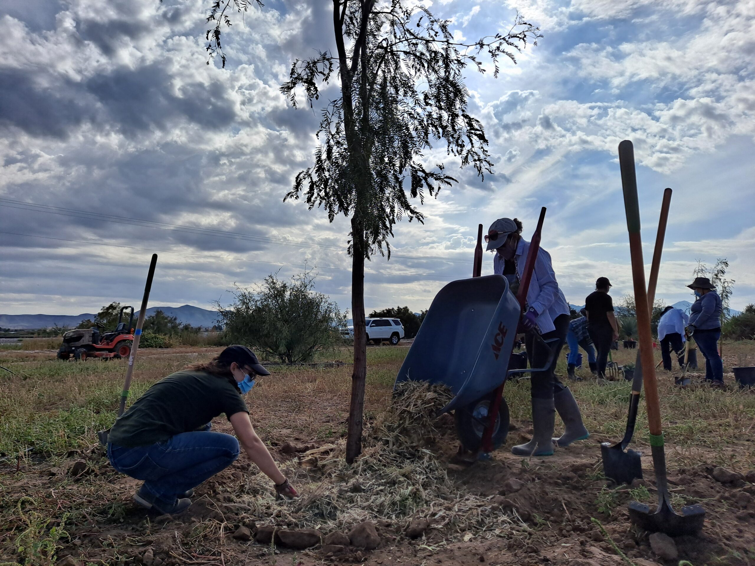 Estudiantes de sexto grado nutren el jardín de carretillas, mientras  cultivan conexiones comunitarias. - Comunidades Saludables - ANR Blogs