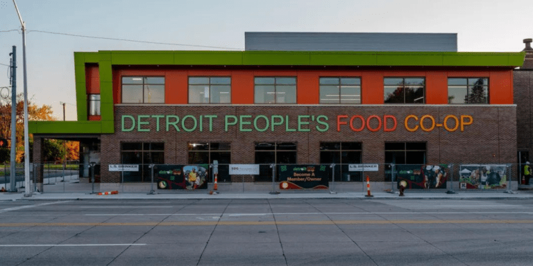 Detroit S Black Led Food Co Op Is Set To Open In 2024 Every Child Thrives   ECT Header Detroit Food Coop 768x384 