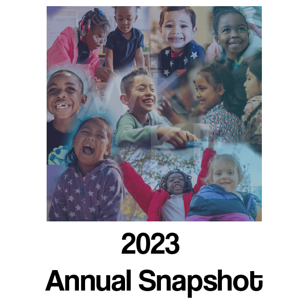 2023 annual snapshot