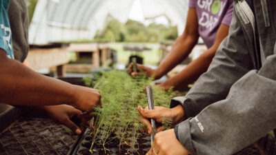 Hand gardening