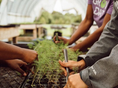 Hand gardening