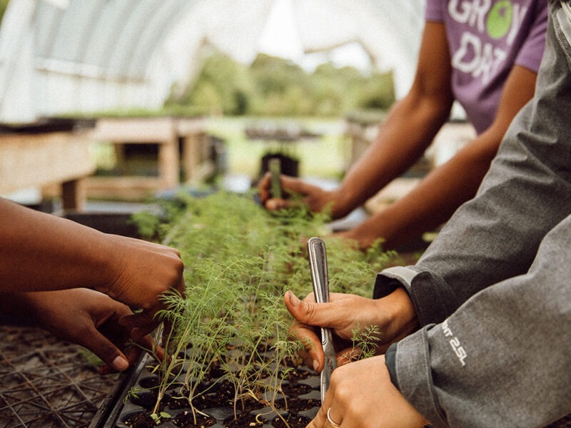 Hand gardening