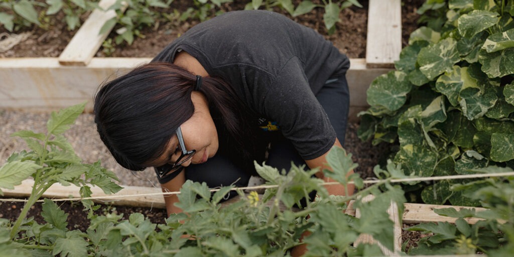 Growing green chile — and community leaders