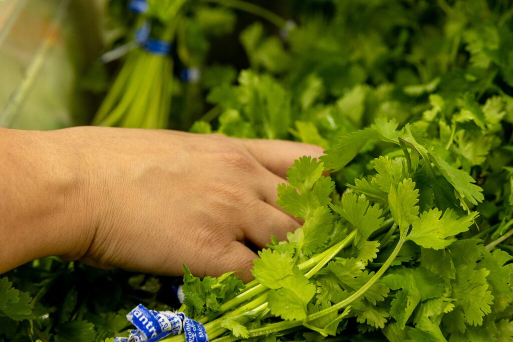 Herbs | W.K. Kellogg Foundation